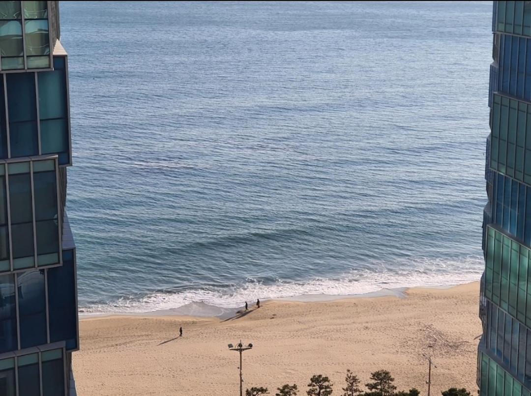 Haeundae Lavender House-Irua Hotel Busan Eksteriør billede